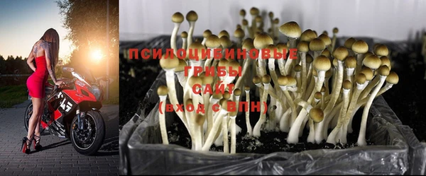 mix Абинск