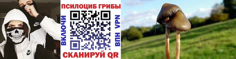 Псилоцибиновые грибы прущие грибы  hydra как зайти  Одинцово 